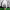 https://res.cloudinary.com/billionhands/image/upload/v1779627308/items/jmwgwjpvabvo46lptic3.jpg-0cover