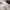 https://res.cloudinary.com/billionhands/image/upload/v1779630801/items/kmx3s75dgkgdoqxemoug.png-3cover