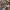 https://res.cloudinary.com/billionhands/image/upload/v1779630802/items/kbknbbmoydqyzcgtxn1r.jpg-3cover