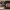 https://res.cloudinary.com/billionhands/image/upload/v1779631005/items/casa2dkwrkqsv6unedp5.jpg-3cover