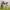 https://res.cloudinary.com/billionhands/image/upload/v1779631572/items/alwb4gpmqd58ifqsxjy4.jpg-0cover