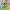 https://res.cloudinary.com/billionhands/image/upload/v1779631575/items/ky7mf1opfvksv3lfbpt4.png-2cover