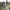https://res.cloudinary.com/billionhands/image/upload/v1779631577/items/i8poey8fbpnlbhtvqaul.webp-2cover
