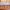 https://res.cloudinary.com/billionhands/image/upload/v1779631722/items/dk0wdjhby5g2u35rzfpb.jpg-0cover