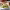 https://res.cloudinary.com/billionhands/image/upload/v1779631727/items/gfz2wf8wvnktuaxf8bqs.jpg-3cover