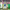https://res.cloudinary.com/billionhands/image/upload/v1779634406/items/bqkfrpairxqzp9itn2we.png-1cover