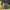 https://res.cloudinary.com/billionhands/image/upload/v1779634409/items/hiact2zp7yh1bwxxguyk.jpg-1cover