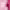 Maybelline New York Lifter Lipstick Serum cover