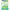 https://res.cloudinary.com/billionhands/image/upload/v1779638382/items/jvdjlwwqe7ymdcy6w7ze.png-2cover