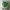 https://res.cloudinary.com/billionhands/image/upload/v1779640055/items/byau69bg4uymap7wzzf0.jpg-2cover