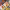 https://res.cloudinary.com/billionhands/image/upload/v1779640877/items/ech1efgt3ctj7nmqbsq8.jpg-0cover
