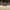 https://res.cloudinary.com/billionhands/image/upload/v1779646889/items/gefrh4sd5lwyloktps2p.jpg-3cover