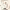 https://res.cloudinary.com/billionhands/image/upload/v1779647447/items/glr8flsbznpaggr3b6gz.jpg-2cover