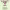 https://res.cloudinary.com/billionhands/image/upload/v1779649079/items/cjbuhj2ffgdd1wxcdfcz.webp-1cover