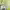 https://res.cloudinary.com/billionhands/image/upload/v1779649215/items/masrva1zuyrygnigfqf2.png-2cover