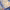 https://res.cloudinary.com/billionhands/image/upload/v1779650108/items/kol7y7ibynkodmqhd2k6.webp-2cover