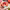 https://res.cloudinary.com/billionhands/image/upload/v1779652678/items/eaowr6zijys9bohh5xjk.jpg-0cover