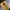 https://res.cloudinary.com/billionhands/image/upload/v1779653359/items/rxjrkguoqxjzclpfgwjx.webp-2cover