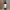 https://res.cloudinary.com/billionhands/image/upload/v1779653362/items/yqmr5peruqtwveic1wq7.jpg-1cover