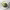 https://res.cloudinary.com/billionhands/image/upload/v1779656328/items/ohhskfm3hmfe5qugtdo8.webp-0cover
