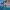 https://res.cloudinary.com/billionhands/image/upload/v1779656520/items/gvwpobhvj0nzl0gbsgtb.webp-1cover