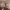 https://res.cloudinary.com/billionhands/image/upload/v1779656537/items/hby5ezscbpbu3c1unpz8.jpg-0cover