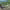 https://res.cloudinary.com/billionhands/image/upload/v1779656537/items/nskf05ugqz1fixhdro7p.jpg-0cover