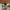 https://res.cloudinary.com/billionhands/image/upload/v1779656541/items/fiutg2x9vpcsuacivyg6.webp-3cover