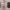 https://res.cloudinary.com/billionhands/image/upload/v1779656541/items/u7zkikidot9jtft4iih0.jpg-2cover