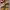 https://res.cloudinary.com/billionhands/image/upload/v1779657808/items/j42rrd9xg9ltgunjaqog.jpg-0cover