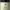 https://res.cloudinary.com/billionhands/image/upload/v1779657811/items/lnsvjkexolaxtnf9fi2i.png-0cover
