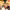 https://res.cloudinary.com/billionhands/image/upload/v1779661663/items/sps2s8ggcrcshxce4kuu.jpg-3cover