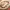 https://res.cloudinary.com/billionhands/image/upload/v1779661674/items/b7skwwyjty7wgacg0kef.jpg-2cover