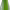 Cava Valformosa Brut Nature cover