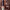 https://res.cloudinary.com/billionhands/image/upload/v1779663458/items/hppwwmvcykw0lilqljeb.jpg-0cover