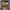 https://res.cloudinary.com/billionhands/image/upload/v1779663754/items/ogjqlqucbqnmpy3ln0cw.jpg-1cover