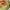 https://res.cloudinary.com/billionhands/image/upload/v1779664688/items/gmj6igie9lgftknw0abs.jpg-2cover