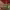 https://res.cloudinary.com/billionhands/image/upload/v1779665542/items/pwex8e7qgrdcf7qzkbvs.jpg-2cover
