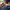 https://res.cloudinary.com/billionhands/image/upload/v1779665544/items/ruyuxcolgxq3mymk5kfo.jpg-3cover