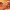 https://res.cloudinary.com/billionhands/image/upload/v1779665579/items/vfbsqrt1q6tmvvm2cqqk.jpg-2cover