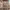 https://res.cloudinary.com/billionhands/image/upload/v1779665651/items/bxzckmqlm5zvnkgomcu1.webp-3cover