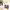 https://res.cloudinary.com/billionhands/image/upload/v1779665652/items/sucm1d3jnrqsfiooadw7.jpg-2cover