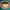https://res.cloudinary.com/billionhands/image/upload/v1779666925/items/xx0rkiu7jnhz1djxrfhy.webp-3cover
