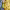 https://res.cloudinary.com/billionhands/image/upload/v1779668902/items/dlzunfiparsbjldrrlnx.jpg-0cover