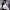 https://res.cloudinary.com/billionhands/image/upload/v1779670469/items/poqvw9imxjlwlgph9lzb.jpg-1cover