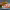 https://res.cloudinary.com/billionhands/image/upload/v1779673855/items/lztnqb2gi9vcq2syygon.webp-2cover