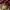 https://res.cloudinary.com/billionhands/image/upload/v1779673880/items/ssnkmiq4jaxq4ialzsbx.webp-3cover