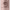 https://res.cloudinary.com/billionhands/image/upload/v1779674515/items/ee6mnrcyjsvmxgfuefrp.png-1cover