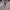https://res.cloudinary.com/billionhands/image/upload/v1779676020/items/nwkdsveibrn0njjdppca.webp-0cover