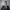 https://res.cloudinary.com/billionhands/image/upload/v1779683583/items/nnivdpro6zlsdd54raol.webp-0cover